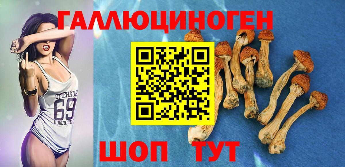 купить закладку  Галлюциногенные грибы GOLDEN TEACHER  Вход с VPN  Можга 