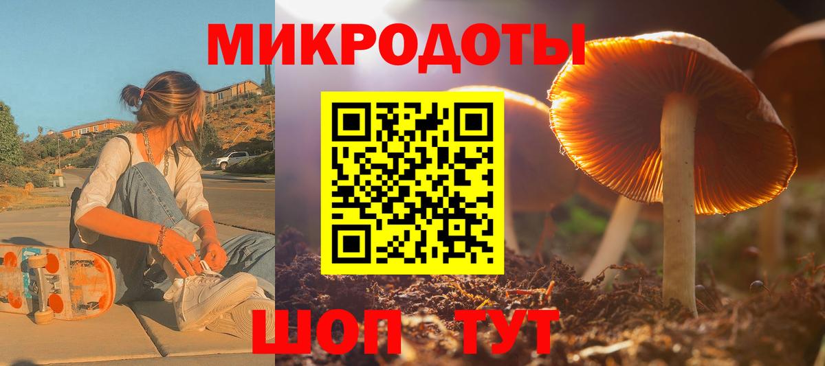 Псилоцибиновые грибы Psilocybine cubensis Можга